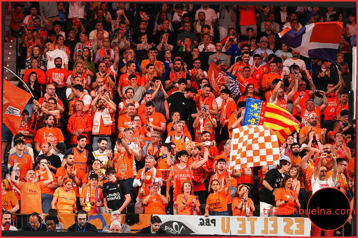 Roig Arena de Valencia: Un Éxito Popular
